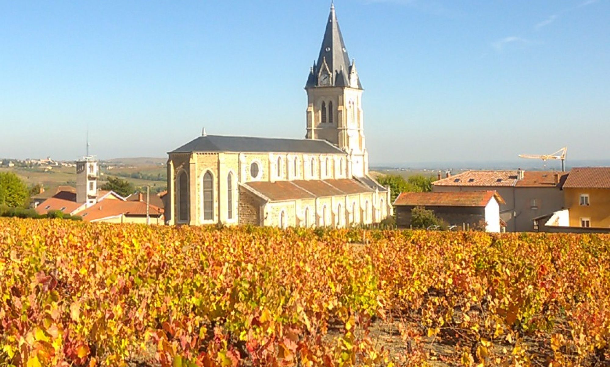 vie-municipale-quinci-en-beaujolais